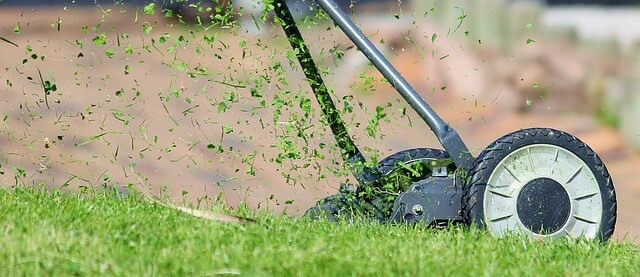 What type of fertilizer do you need for your grass? First, a soil test is essential. According to the results, after reading this article, you will have the right choice.