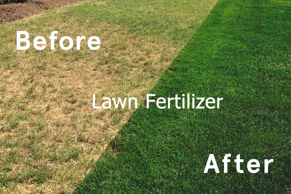 Lawn Fertilizer